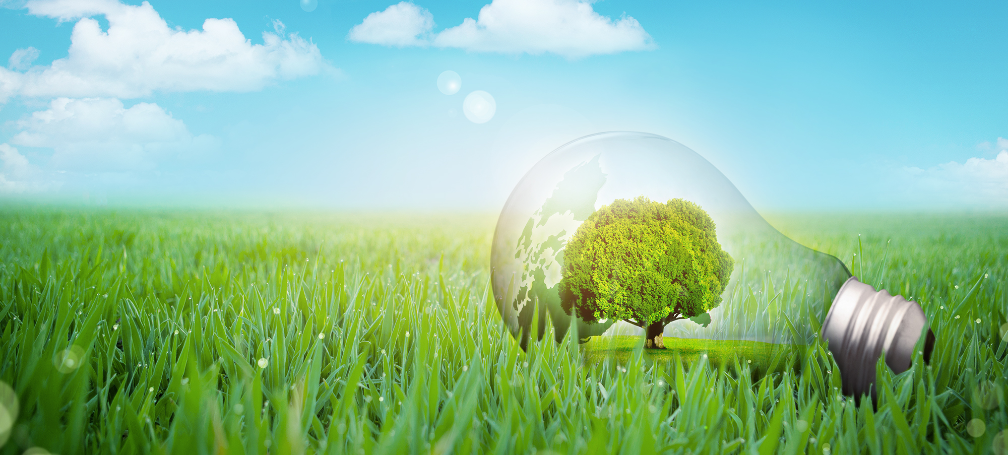 지속 가능한 미래를 위한
혁신적인 기술 솔루션 제공