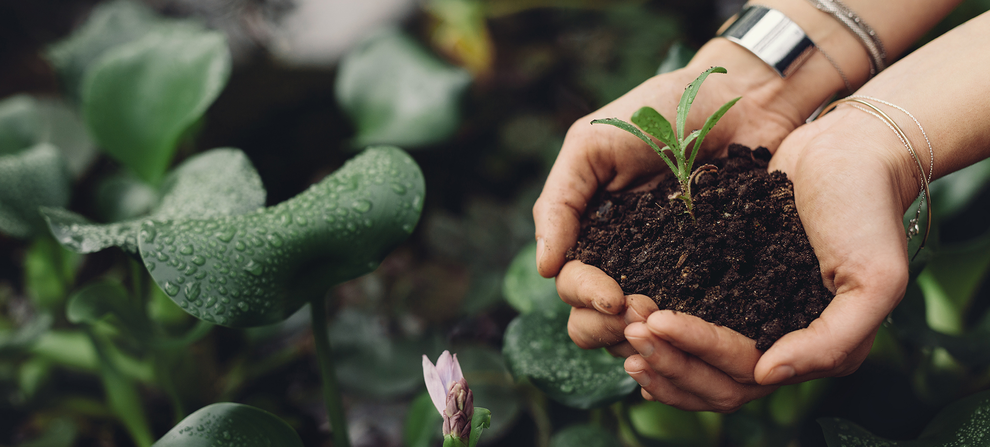 하이브리드 DCM 공법